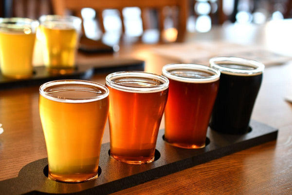 Beer 101: 8 Types of Beer You Need to Know