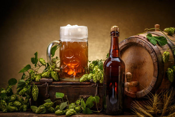 What are Hops and How Do They Affect Beer?