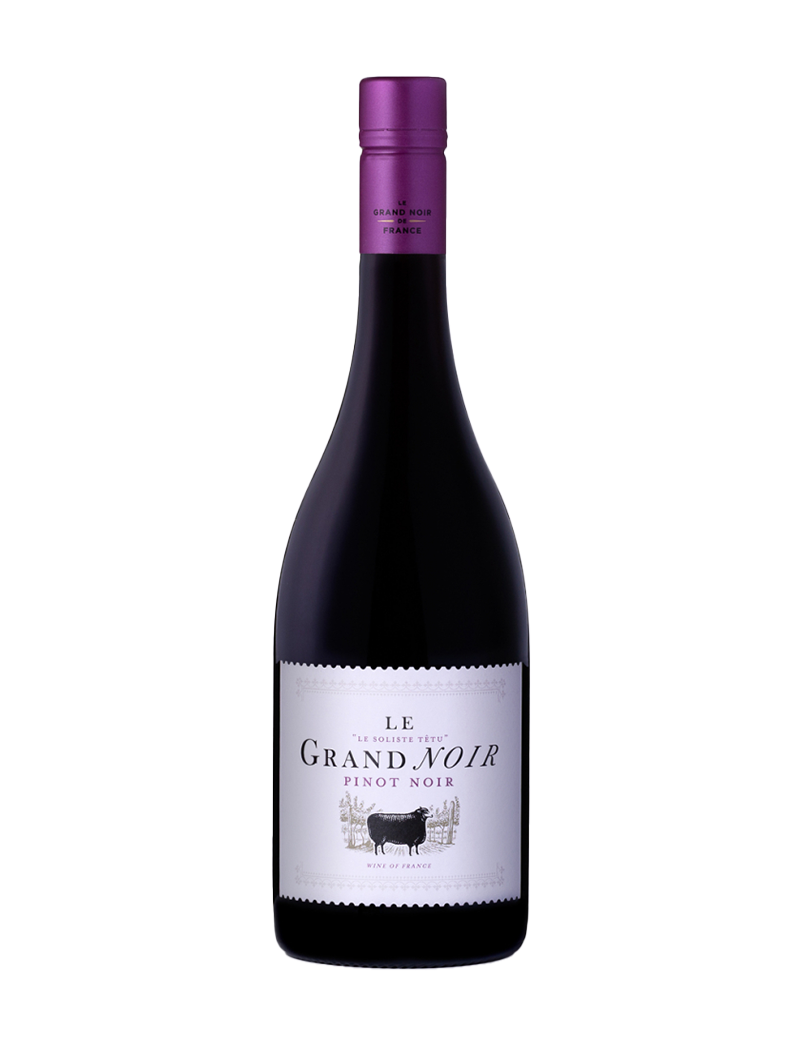 Le Grand Noir Pinot Noir 2021 750ml
